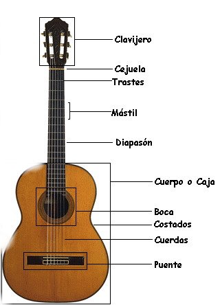 Partes de la guitarra